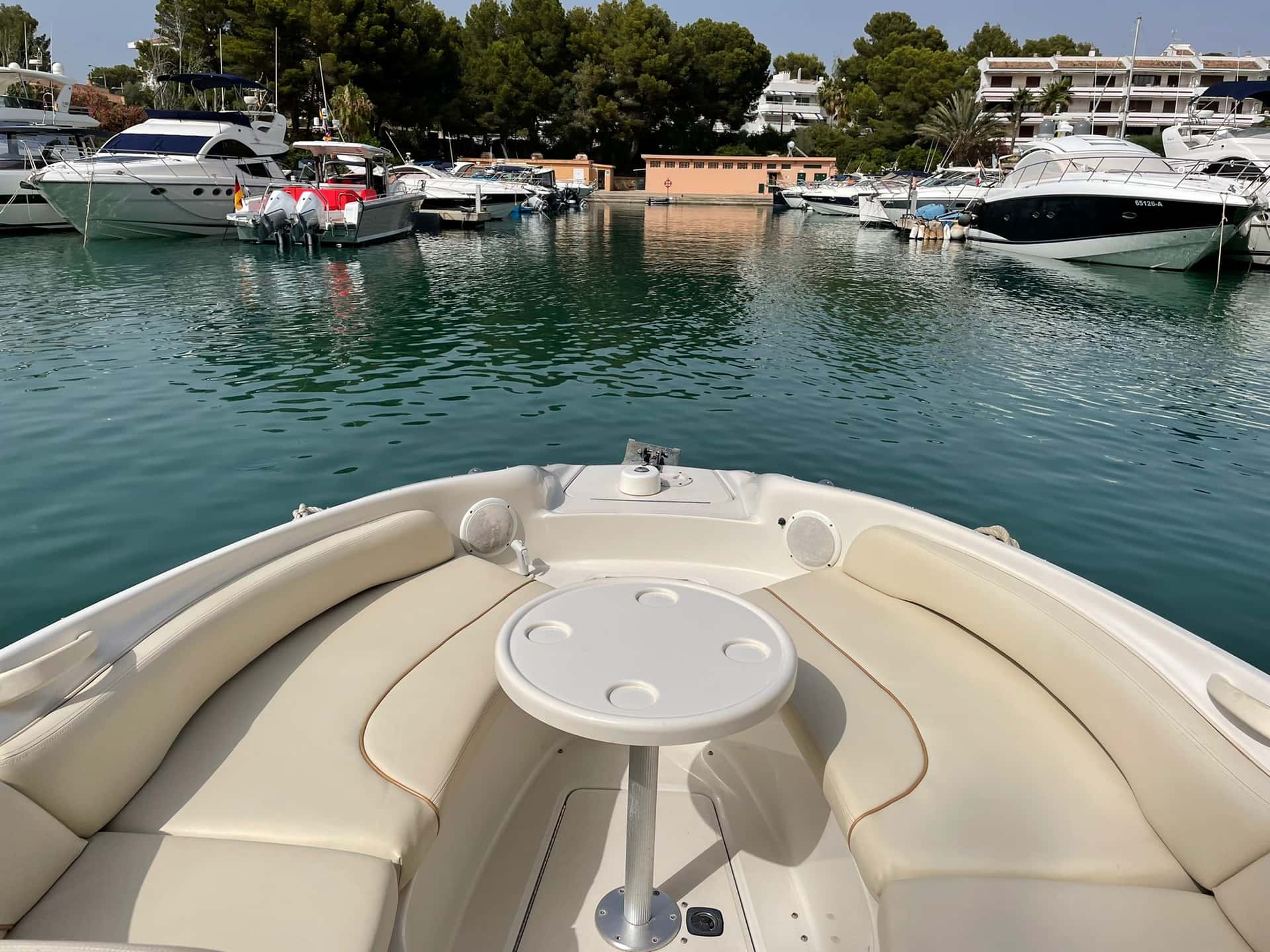 Sea Ray 240 Sundeck - miniatura 8