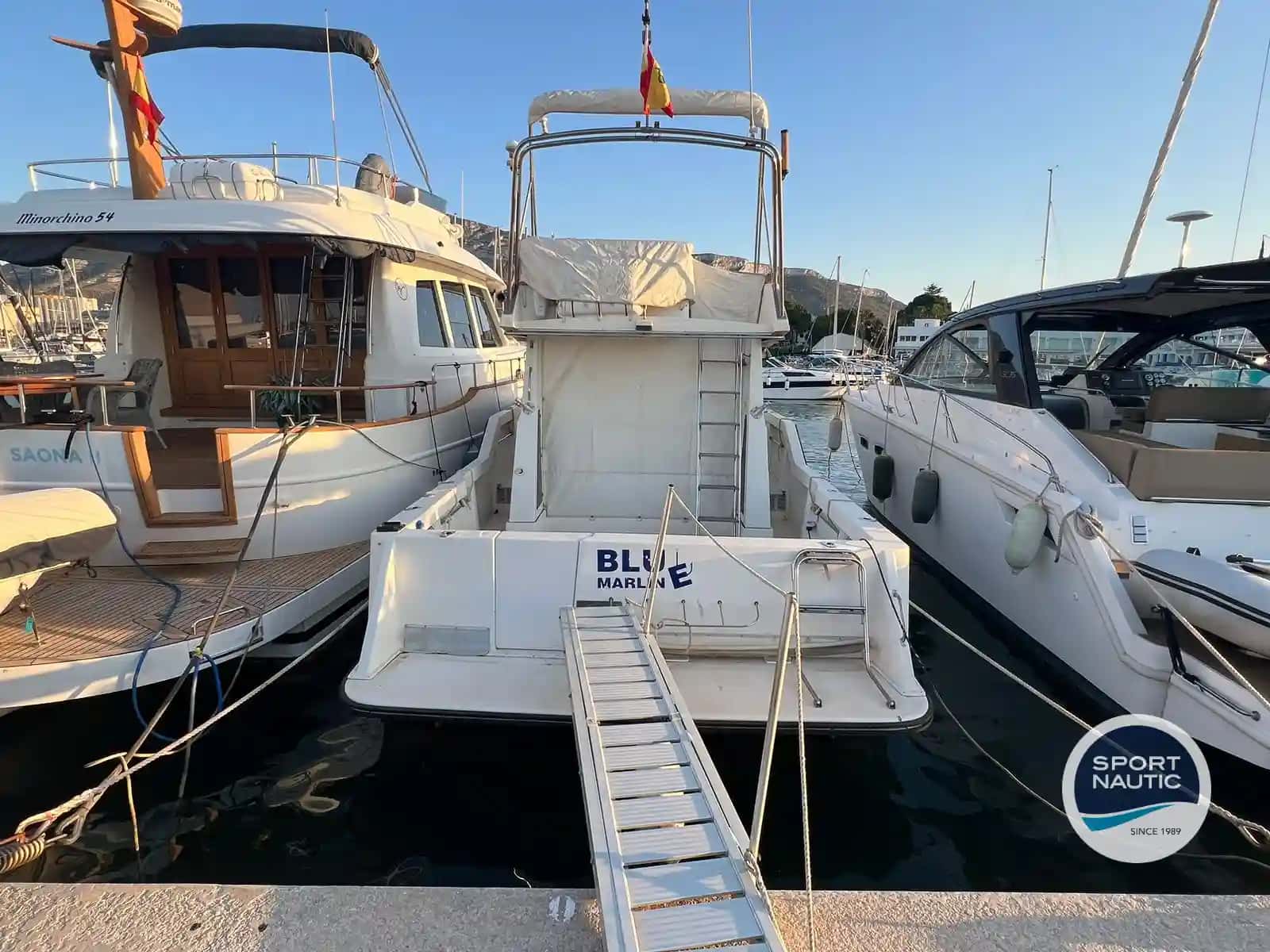 RODMAN 1100 - miniatura 2