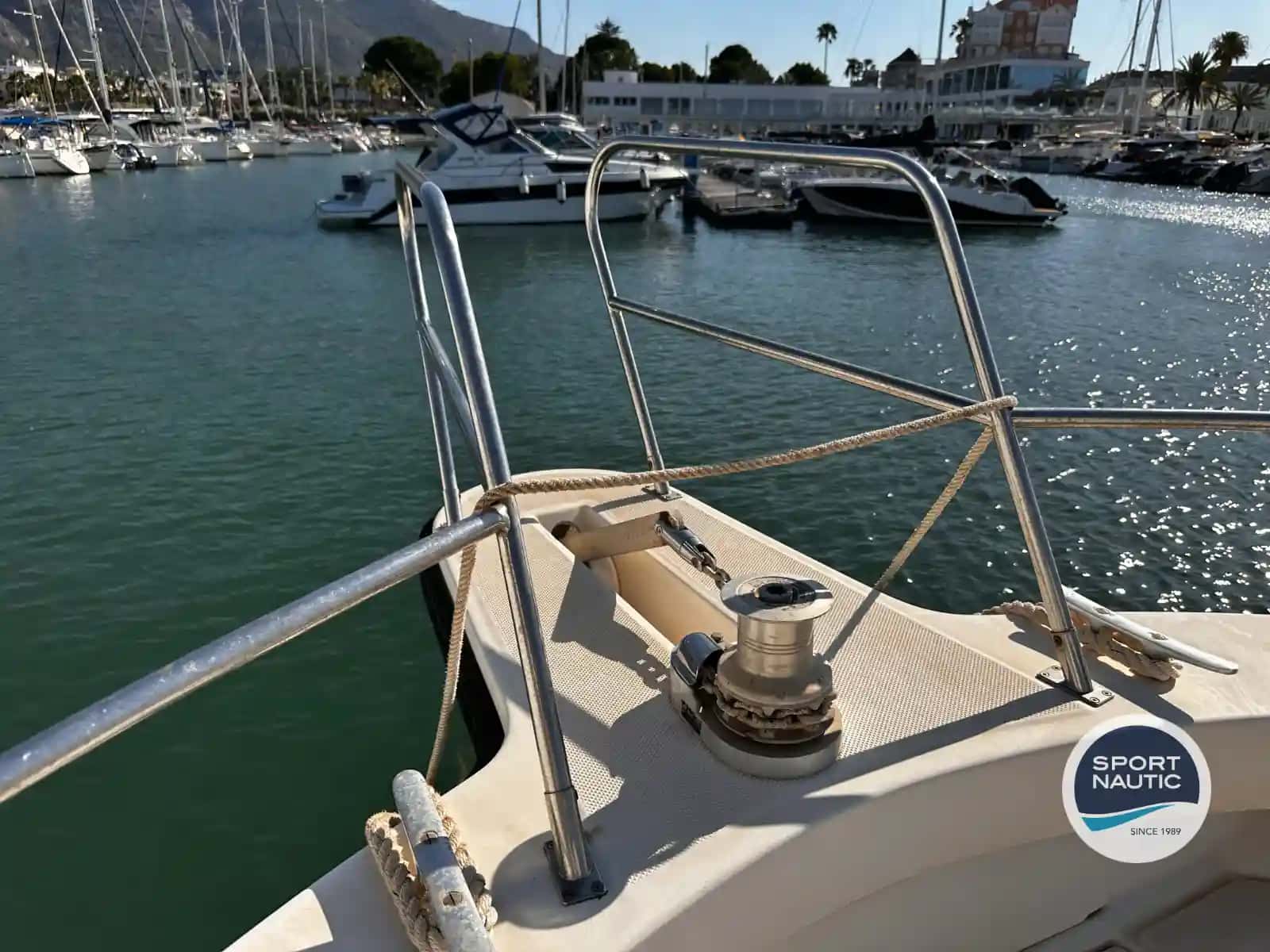 RODMAN 1100 - miniatura 6