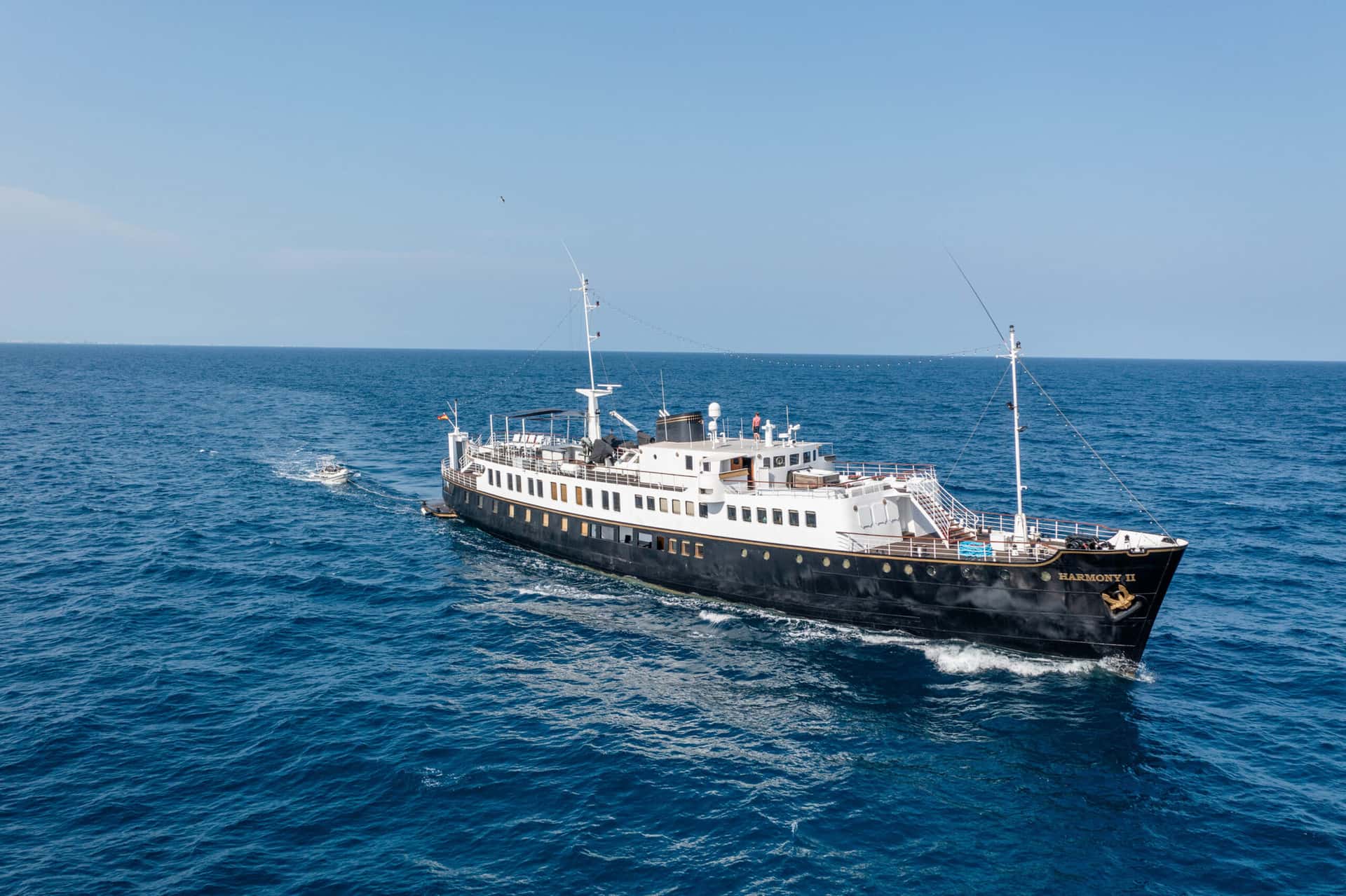 Harmony II - miniatura 7