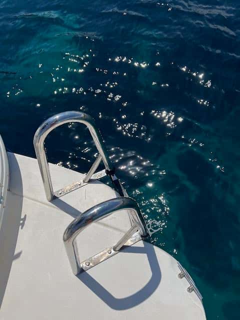 Cruiser Yachts 300 Express - miniatura 8