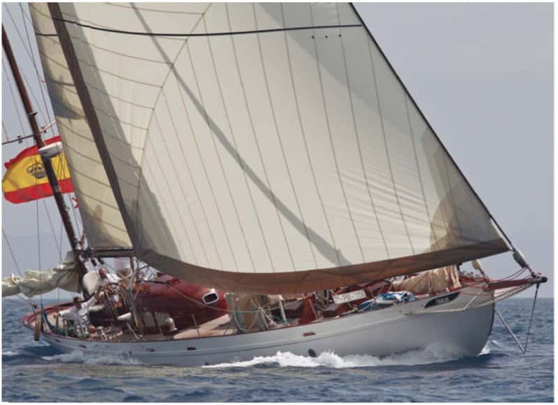 Classic Analia 75