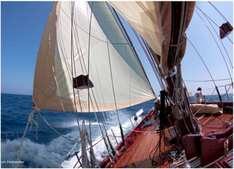 Classic Analia 75 - miniatura 4