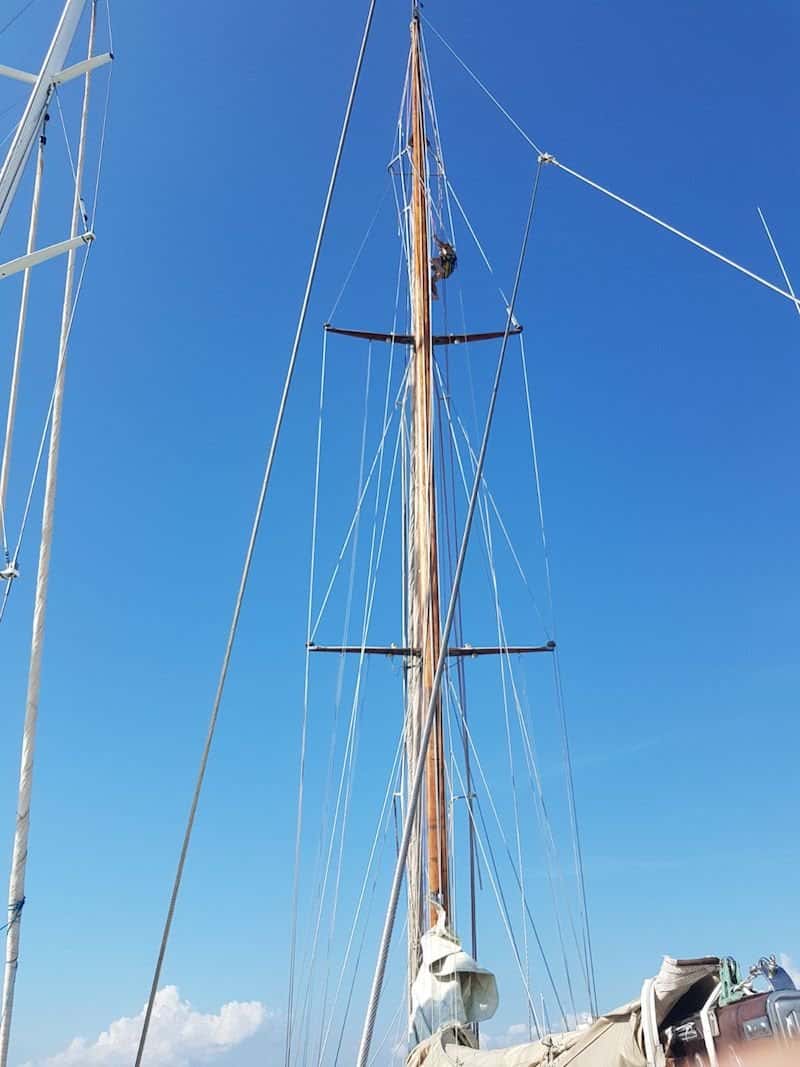 Classic Analia 75 - miniatura 5