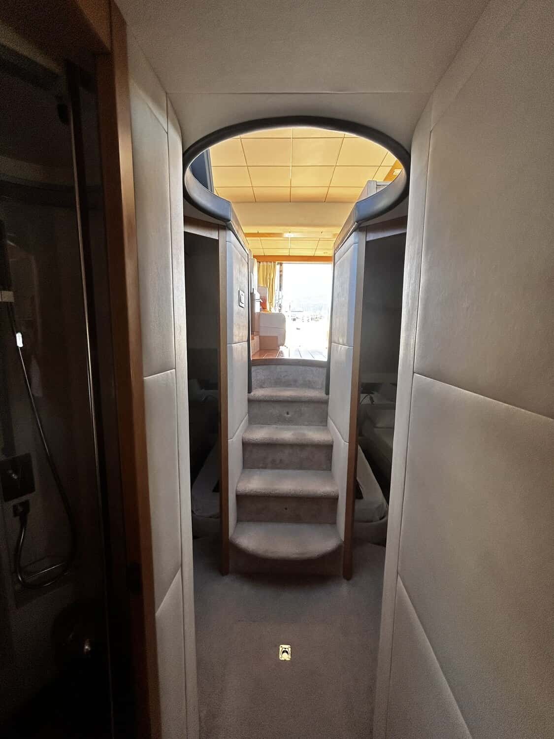 Rodman Muse 44 - miniatura 13