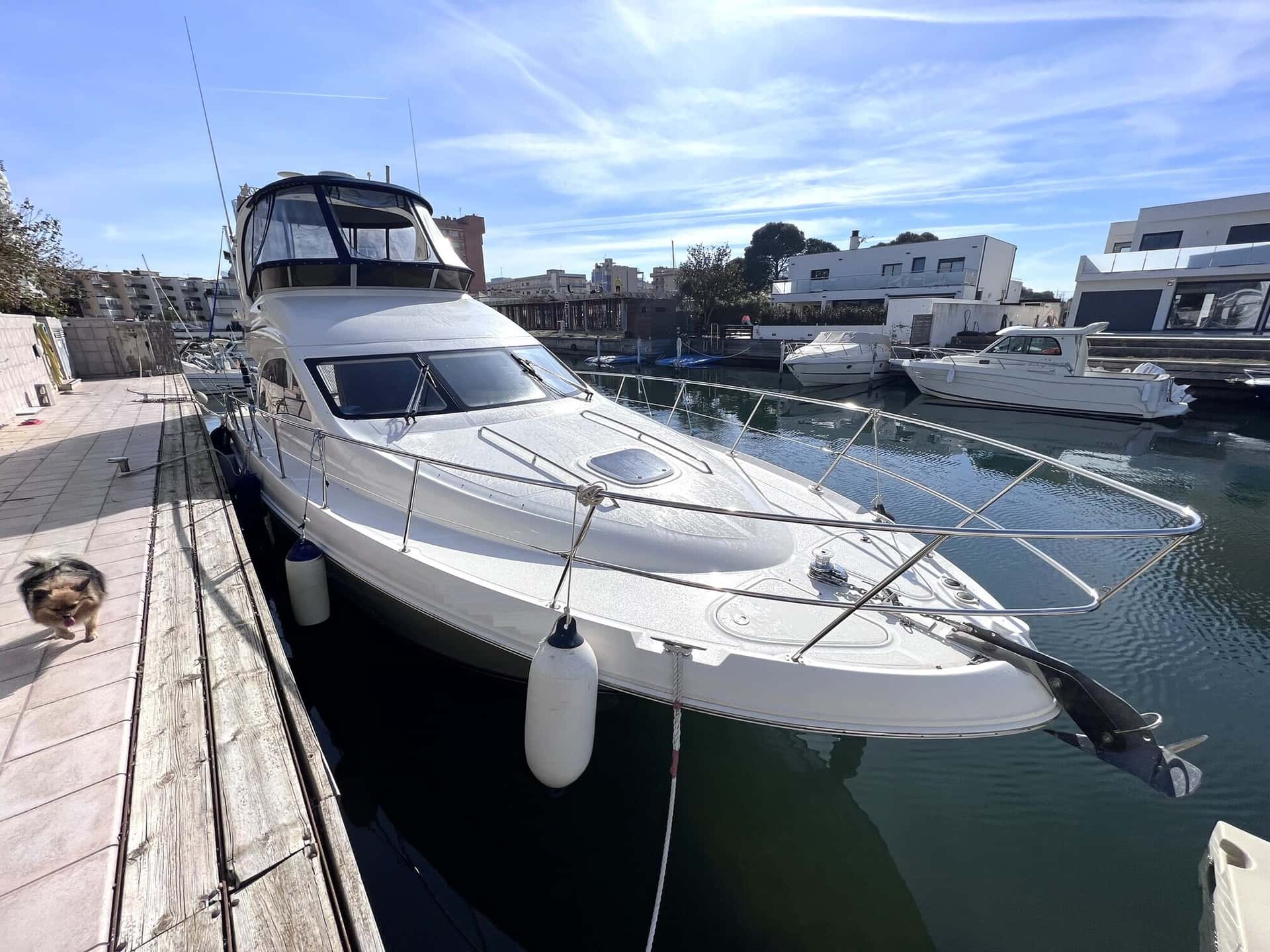 SEA RAY 420 DB - miniatura 3
