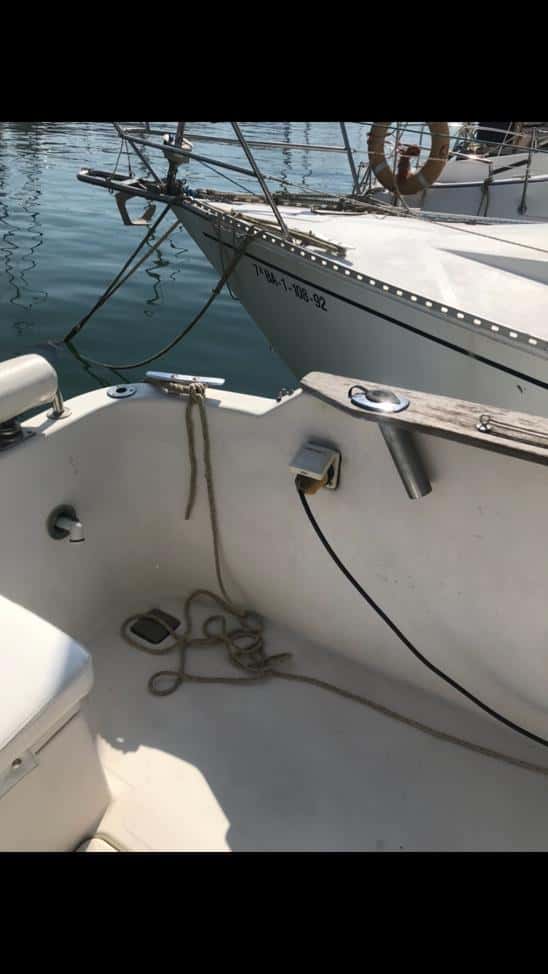 Goymar 800 Fly - miniatura 3