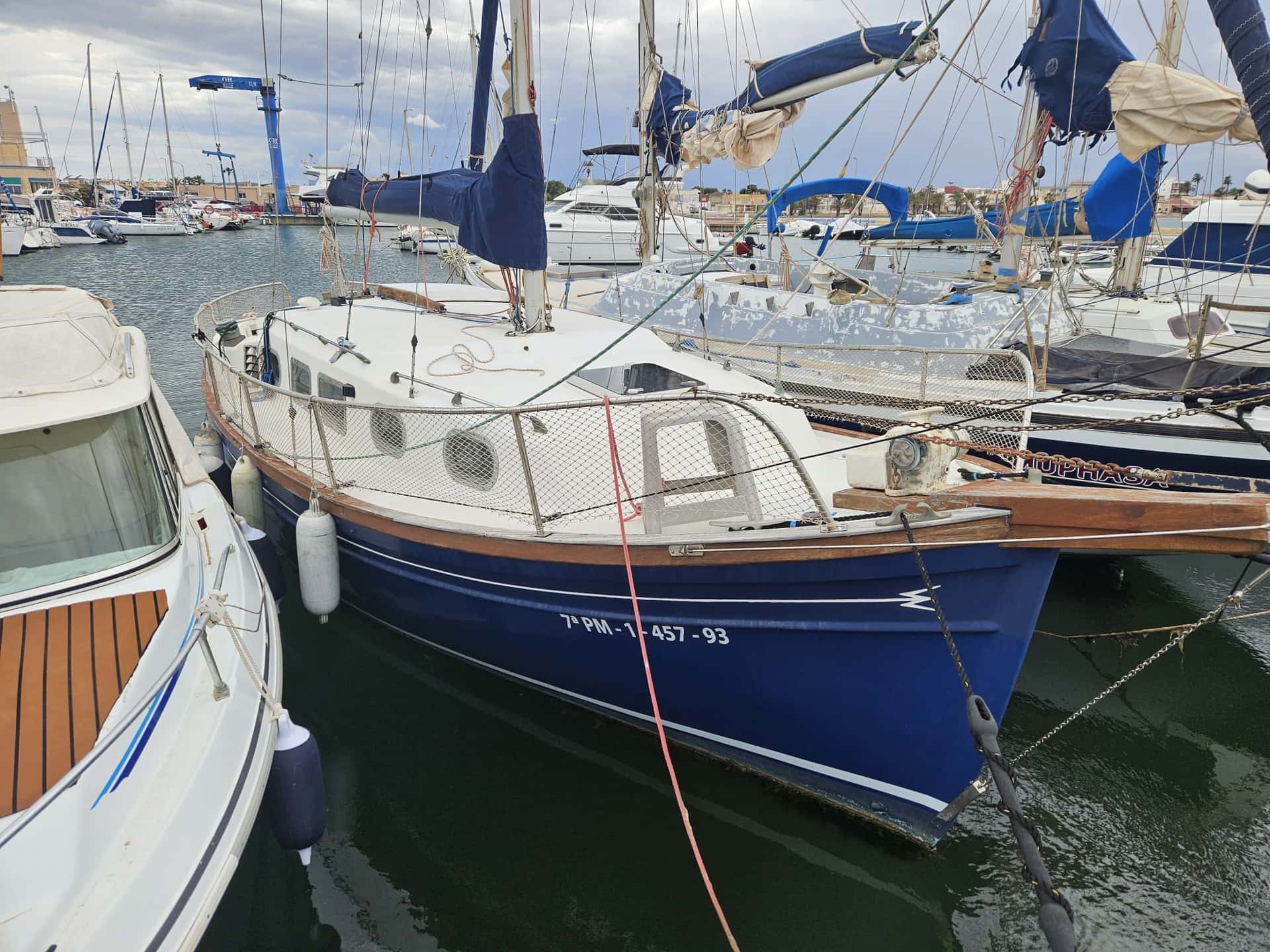 Myabca Delfín 31