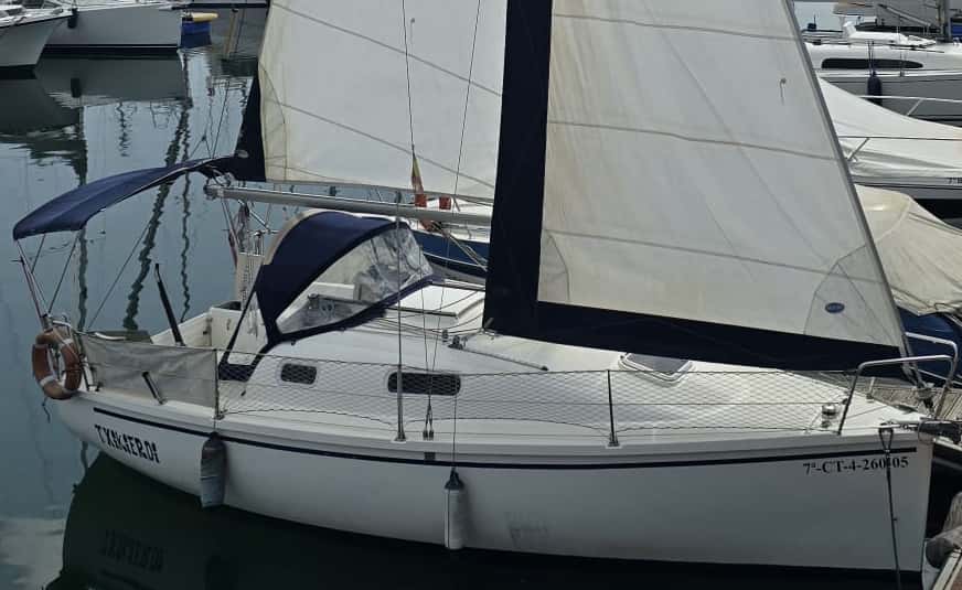 SERVIOLA 26