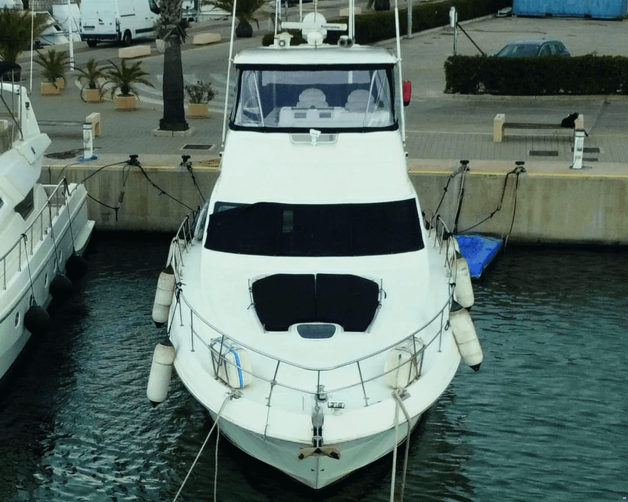 Sea Ray 550 DB - miniatura 3