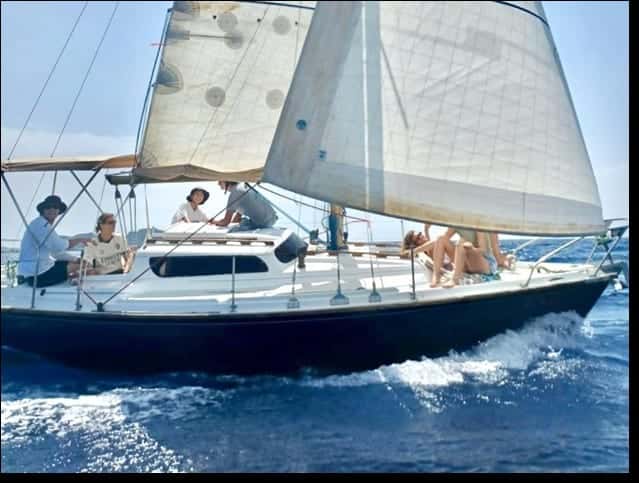 Eden Strat Eden III - miniatura 8