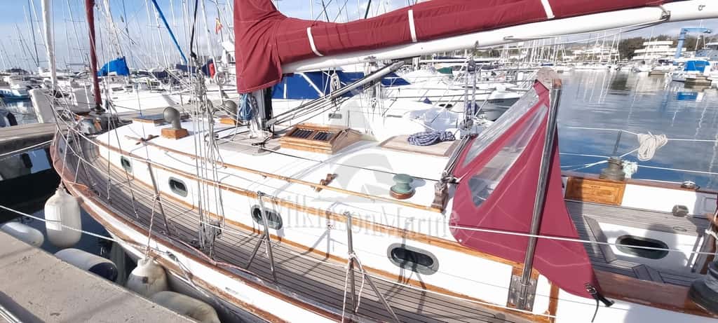 TAYANA 37 - miniatura 2