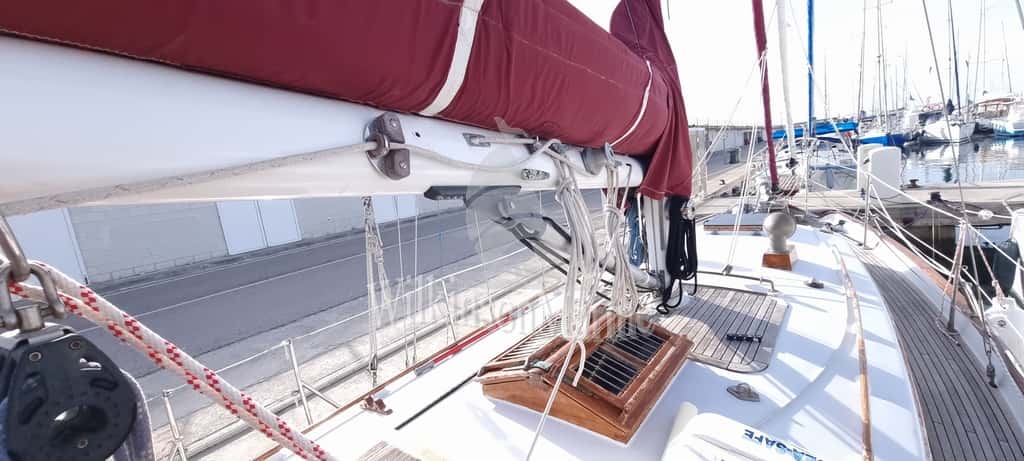 TAYANA 37 - miniatura 7