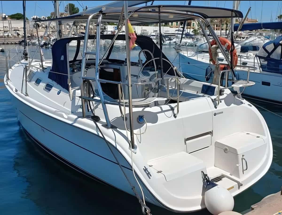 Hunter 356 - miniatura 7