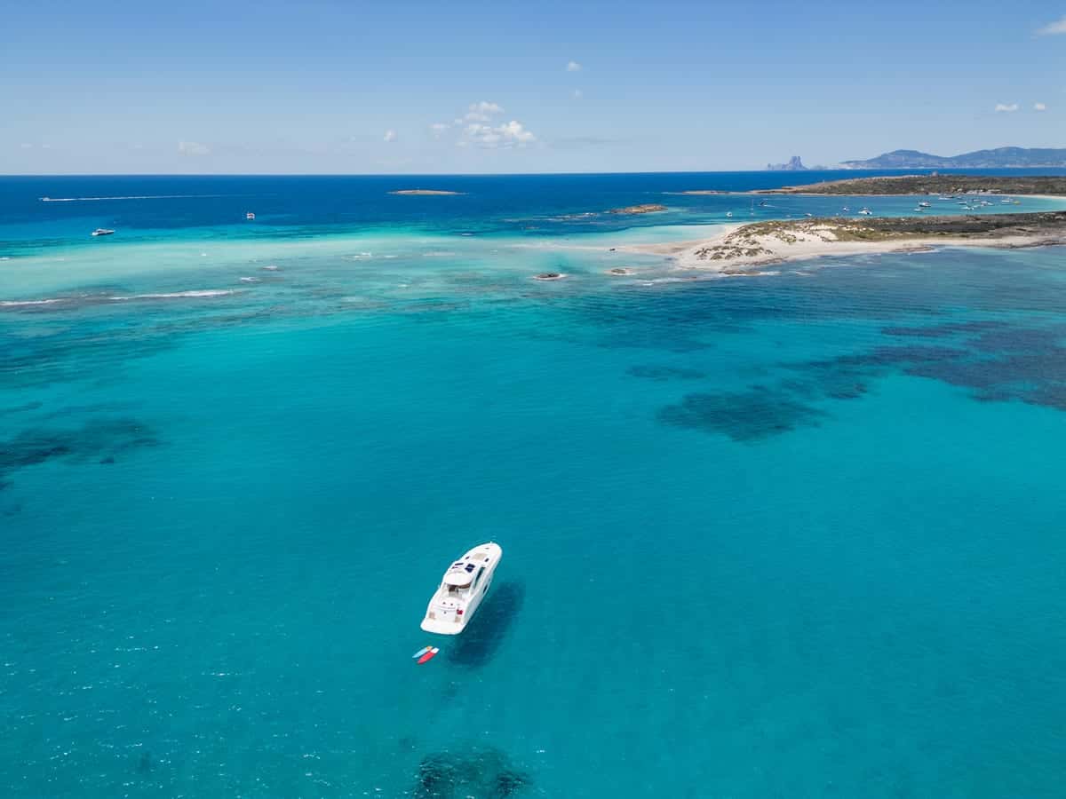 Searay sundancer 55 - miniatura 11