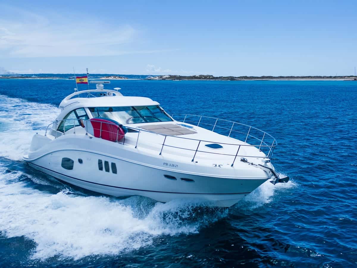 Searay sundancer 55 - miniatura 13