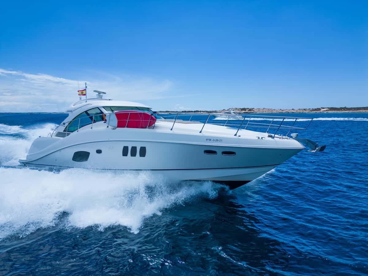 Searay sundancer 55 - miniatura 3