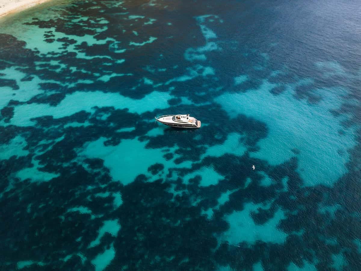 Sunseeker predator 62 - miniatura 9