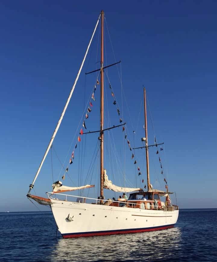 BRUMA YCA - miniatura 4