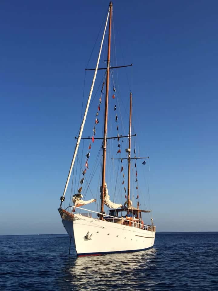 BRUMA YCA - miniatura 5