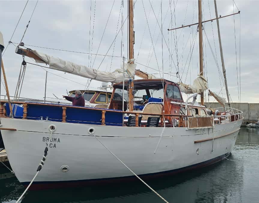 BRUMA YCA - miniatura 8