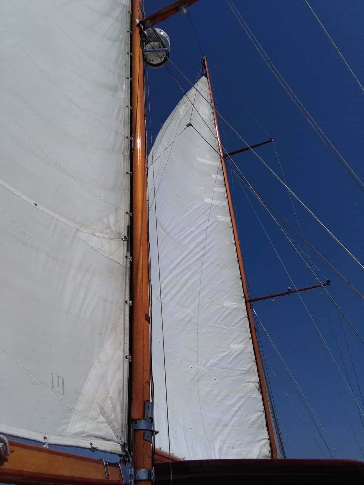 BRUMA YCA - miniatura 18