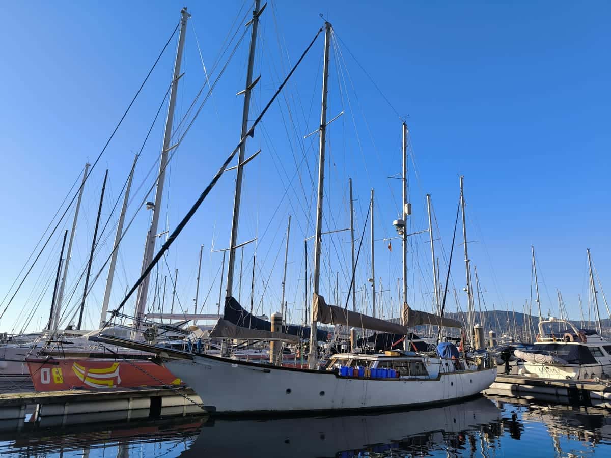 Samson C Baron 55
