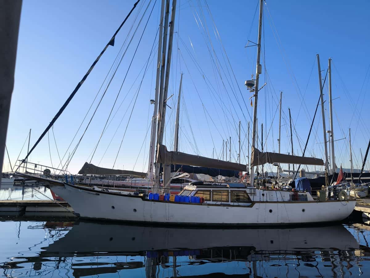 Samson C Baron 55 - miniatura 5