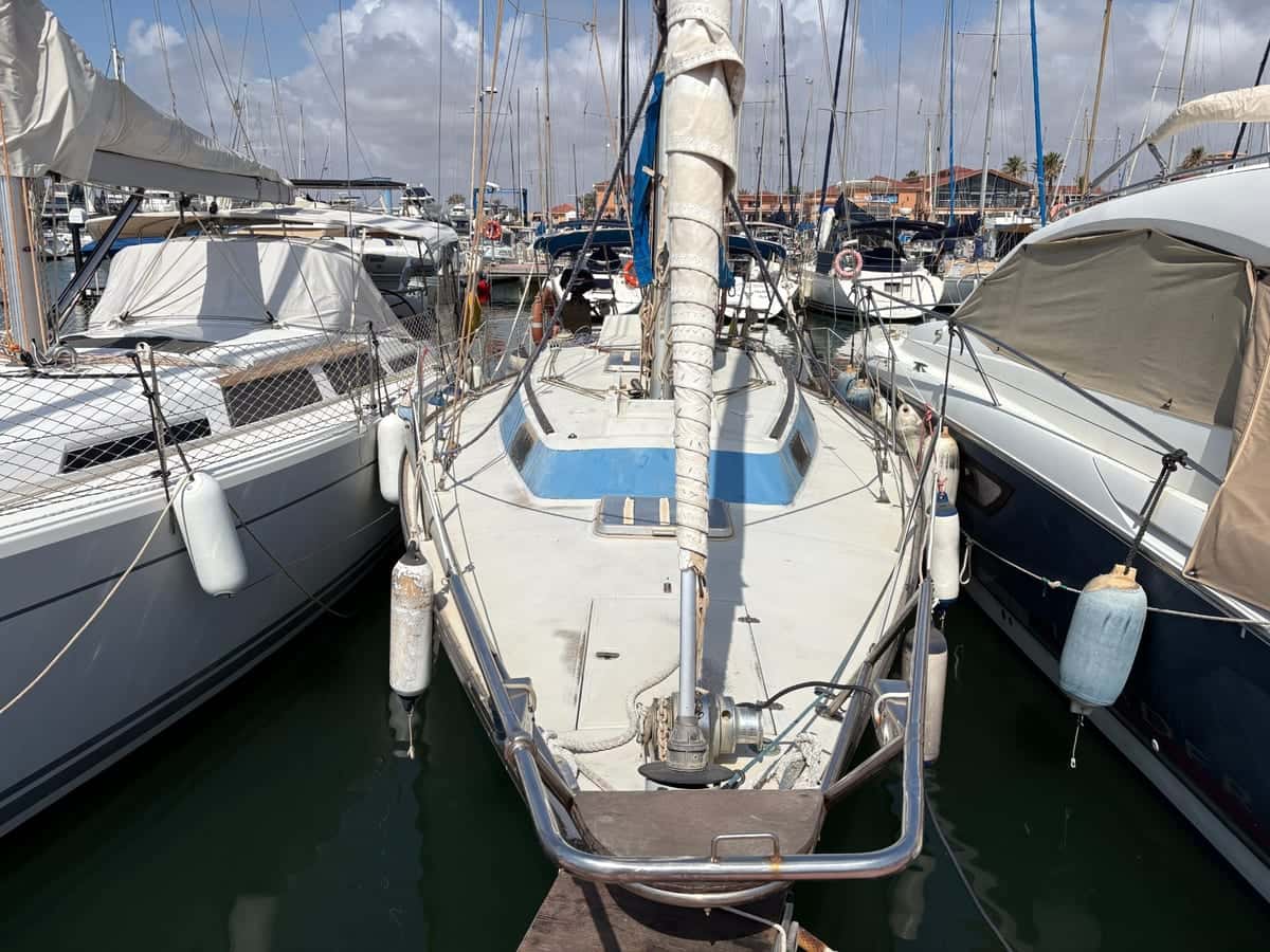 Taylor D-31 - miniatura 3