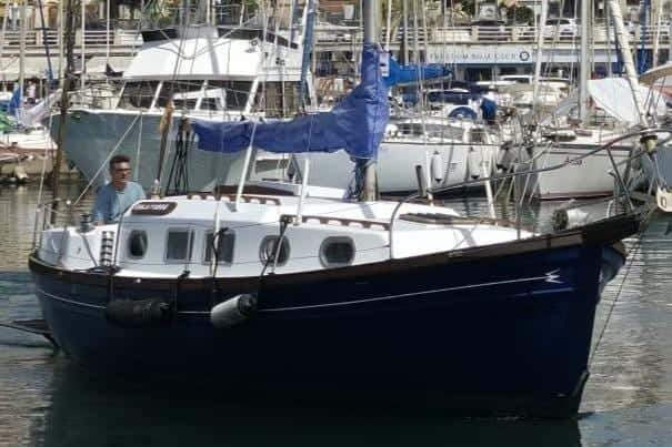 Myabca Delfin 31 - miniatura 2