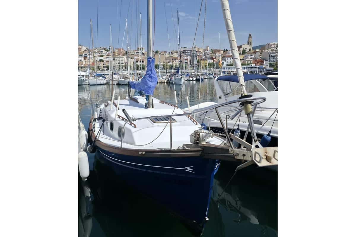 Myabca Delfin 31 - miniatura 4