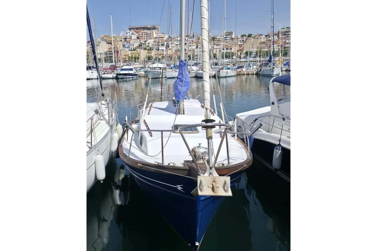 Myabca Delfin 31 - miniatura 6