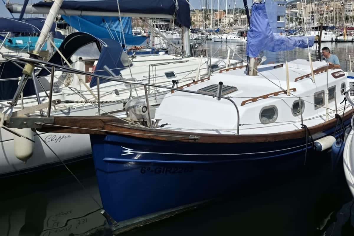 Myabca Delfin 31 - miniatura 3
