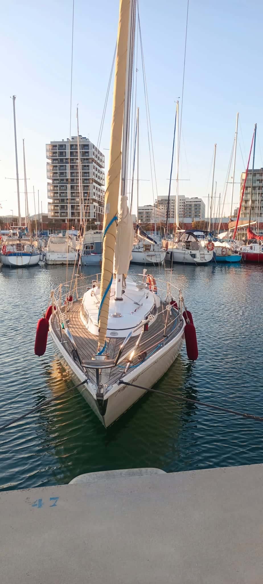 Javelin 30 - miniatura 22