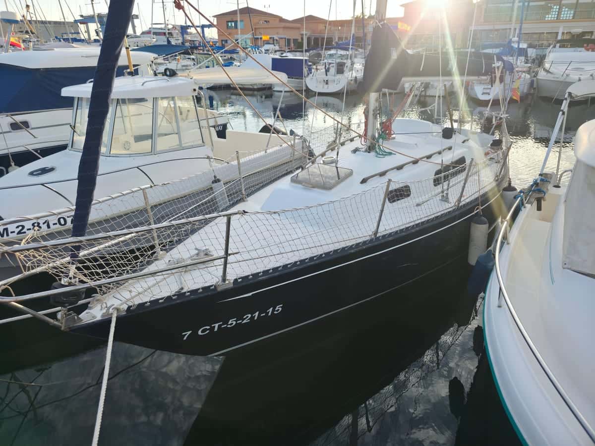 Puma 26 - miniatura 2