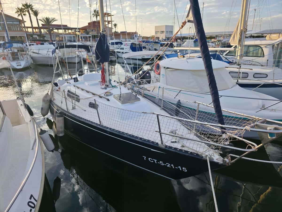 Puma 26