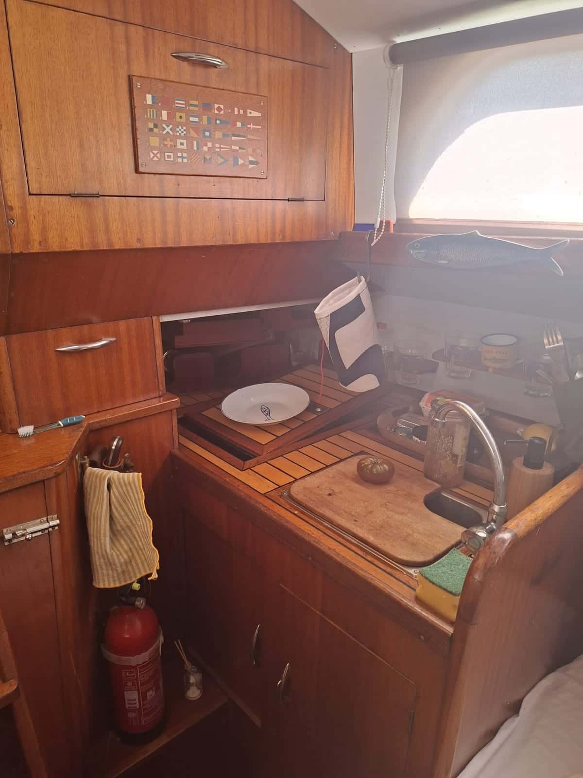 Carena 32 - miniatura 8