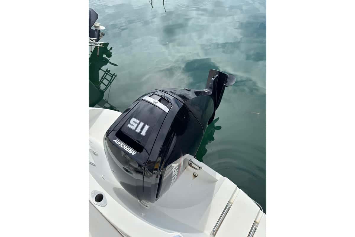 Quicksilver 540 Cruiser - miniatura 10