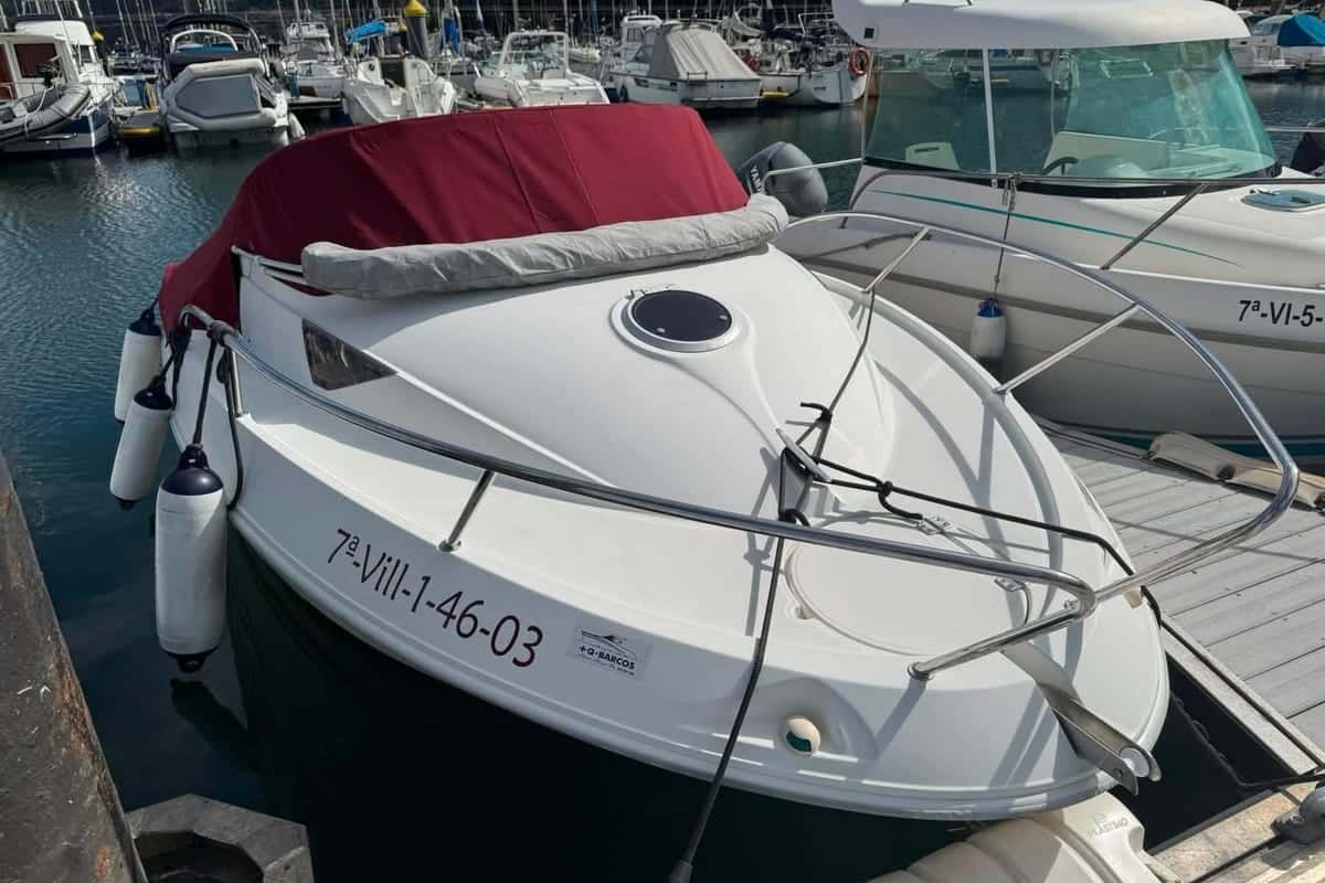 Quicksilver 540 Cruiser - miniatura 4