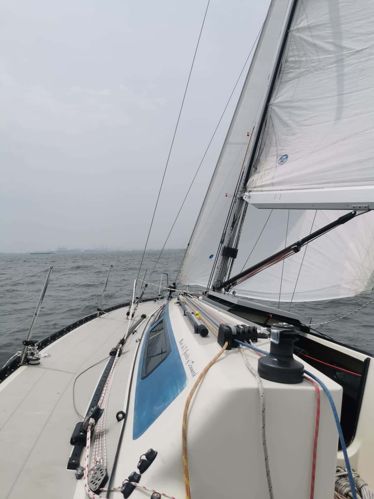 X-119 RAFALE - miniatura 6