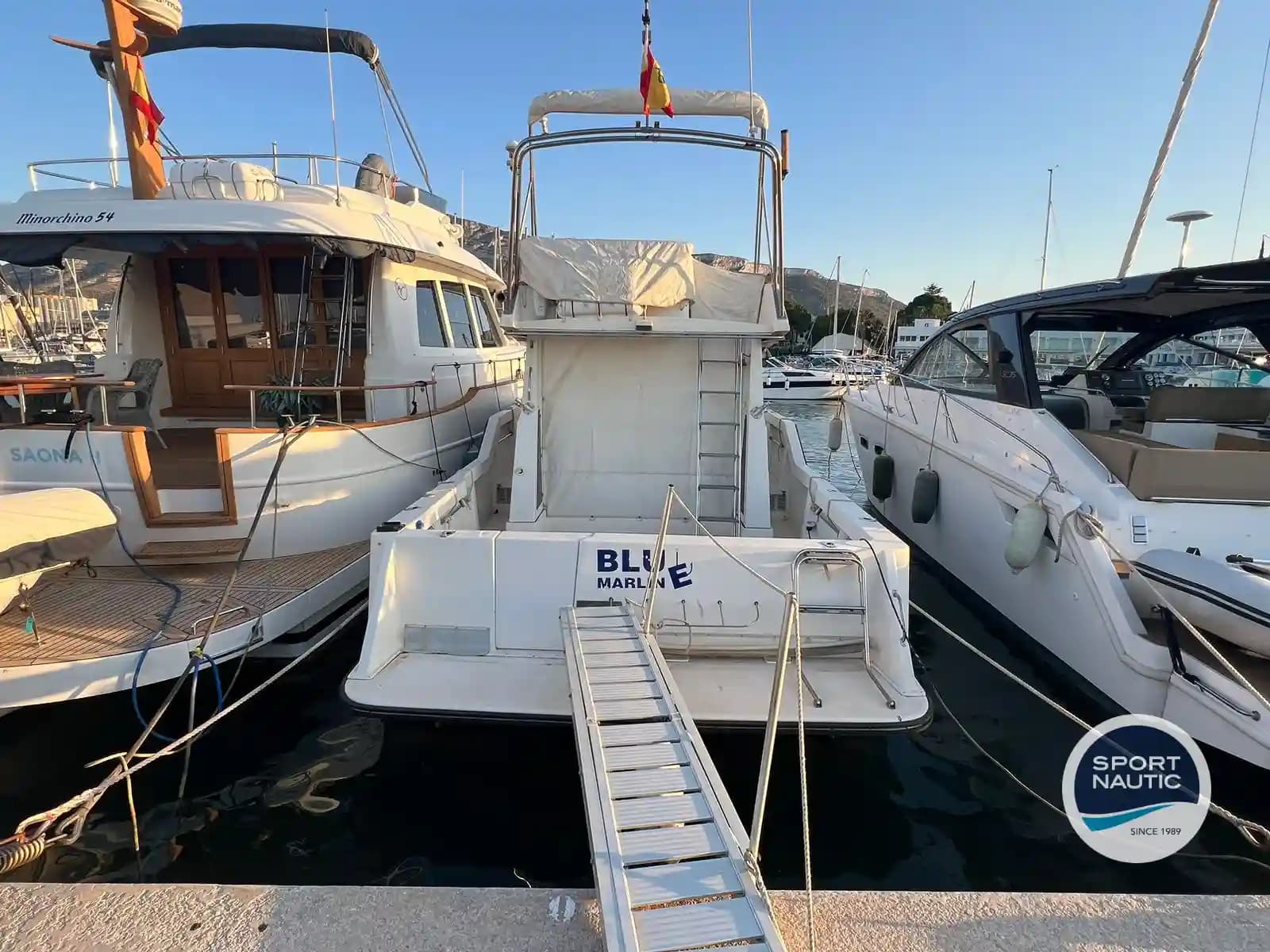 RODMAN 1100 - miniatura 2