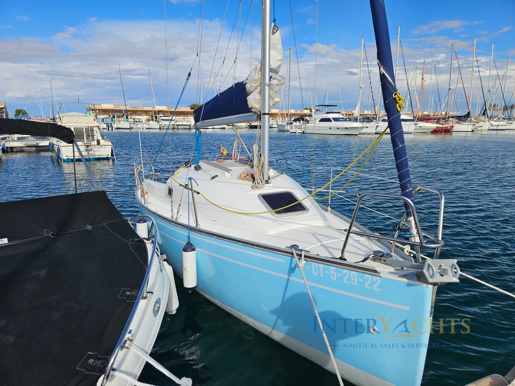 Dauphine 24