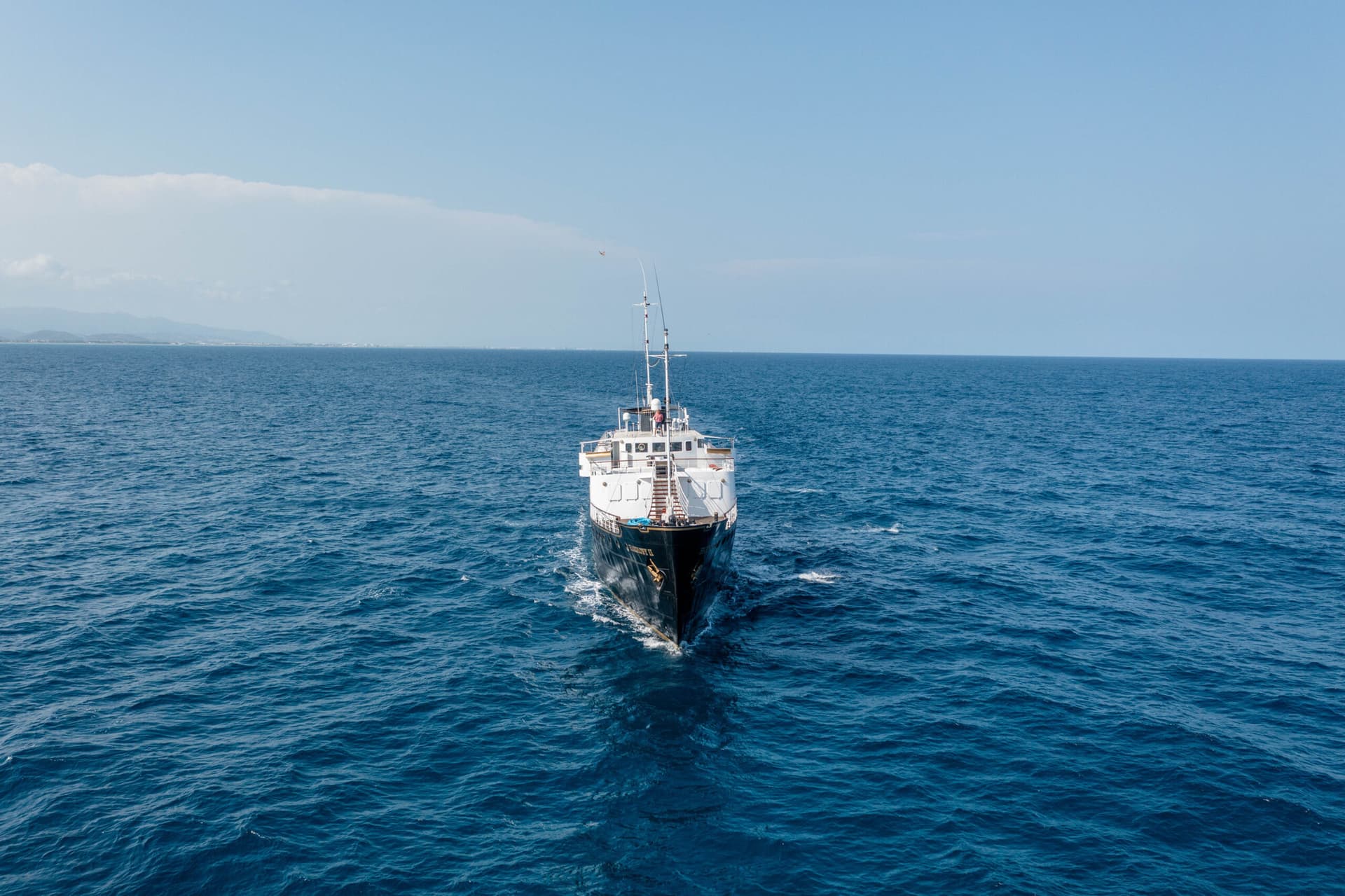 Harmony II - miniatura 2