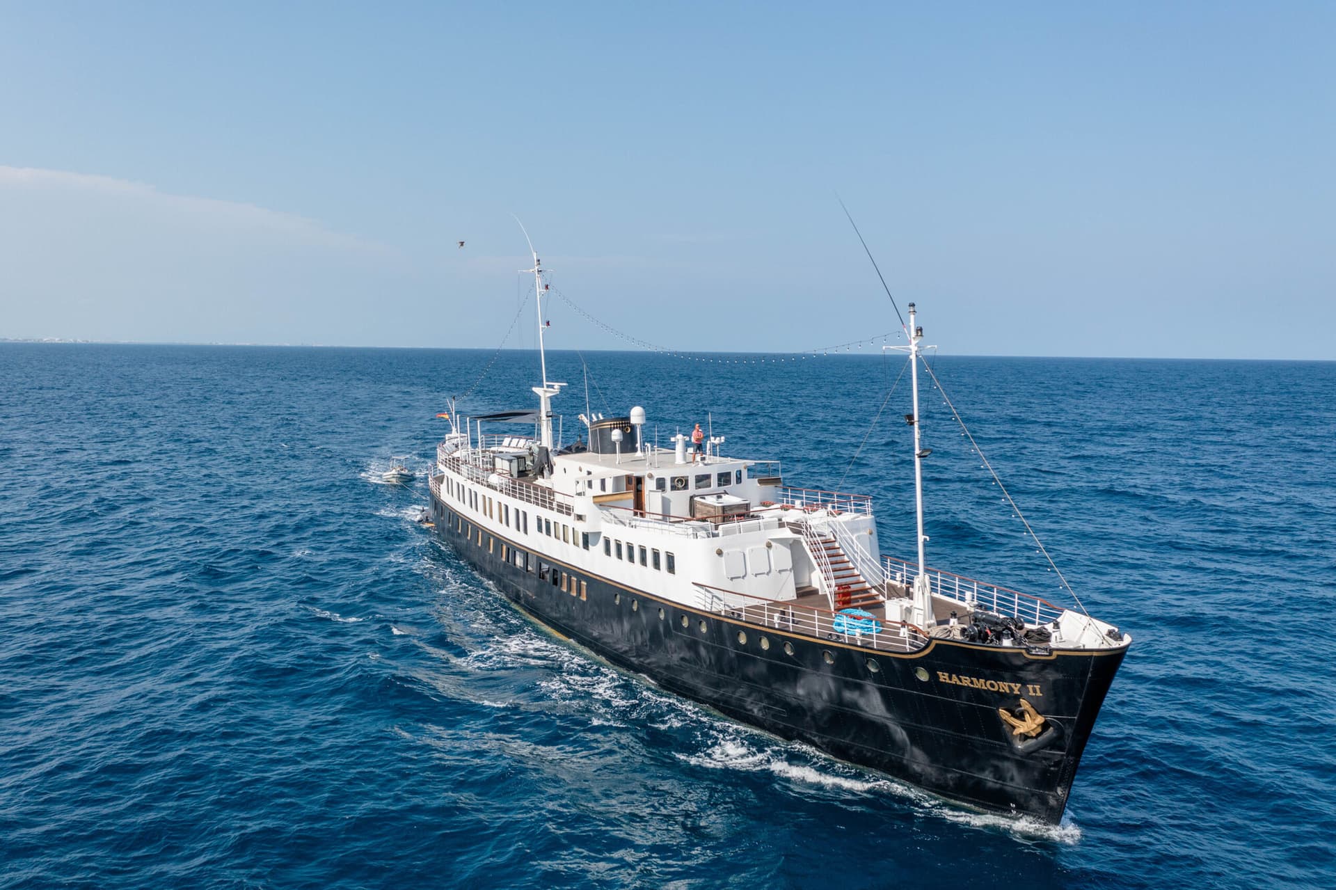 Harmony II - miniatura 6