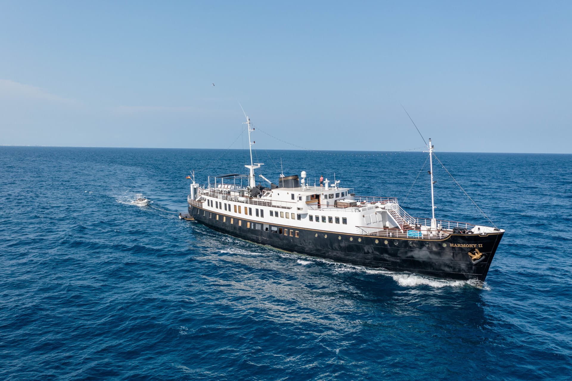 Harmony II - miniatura 7