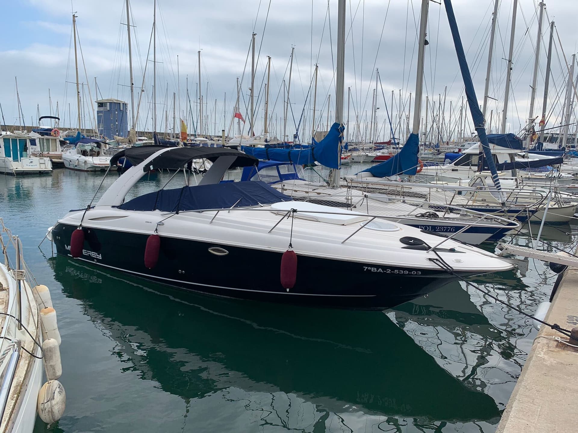 Monterery 298 SC - miniatura 2