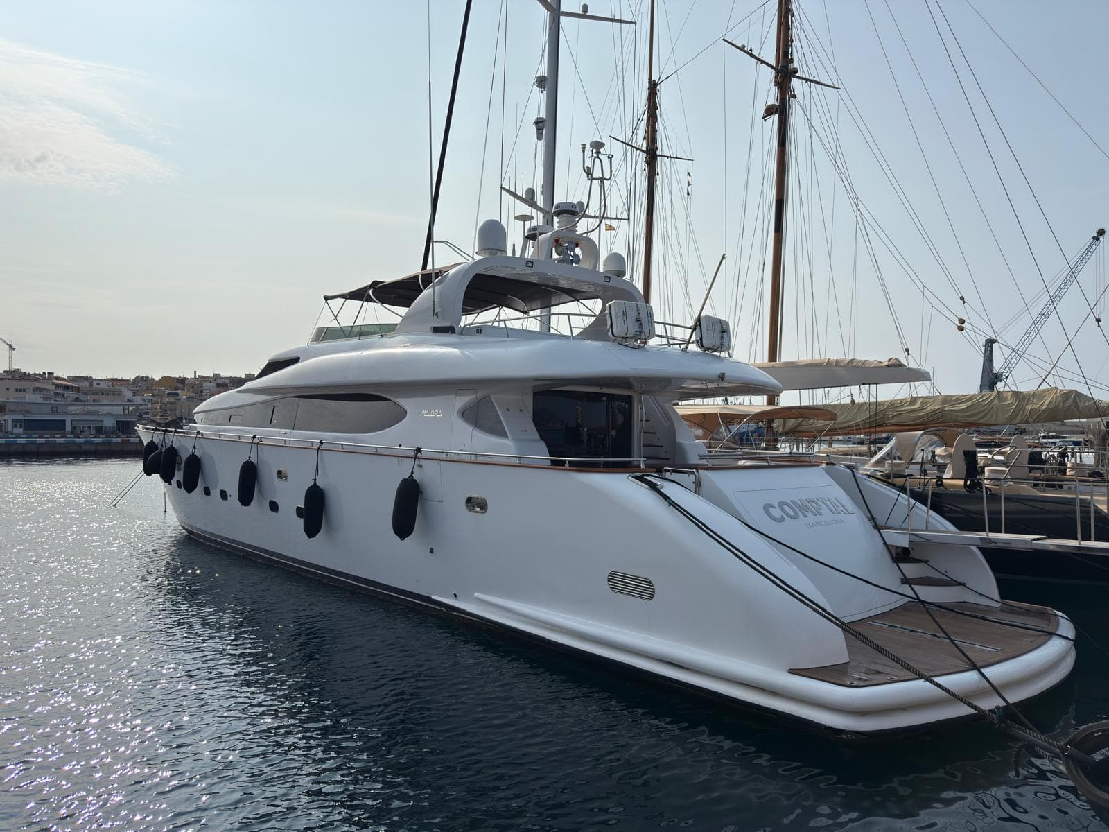 Maiora 31 - miniatura 2